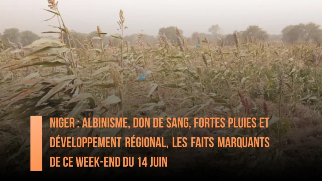 Niger : albinisme, don de sang, fortes pluies et développement régional, les faits marquants de ce week-end du 14 Juin