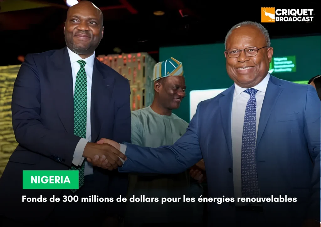 NIGERIA : UN FONDS DE 300 MILLIONS DE DOLLARS POUR L’ÉNERGIE RENOUVELABLE